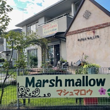 城南の森おうち雑貨店 marsh mallow マシュマロウ